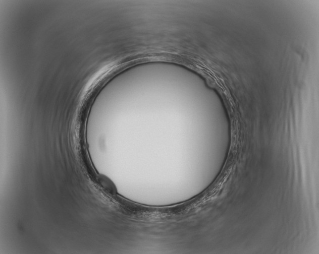 X0000114090197200910051217