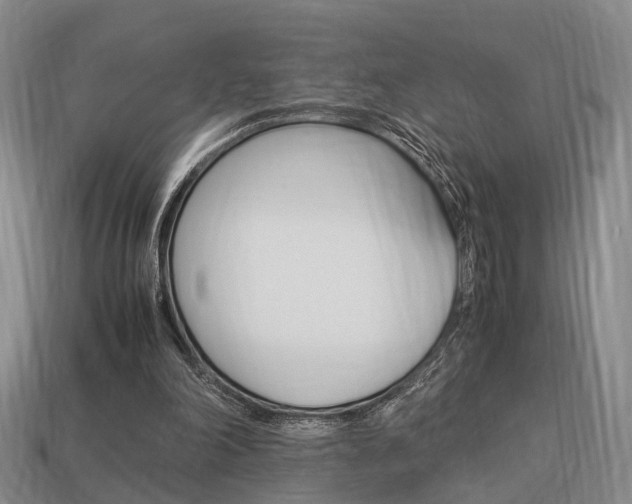 X0000114090198200910051217