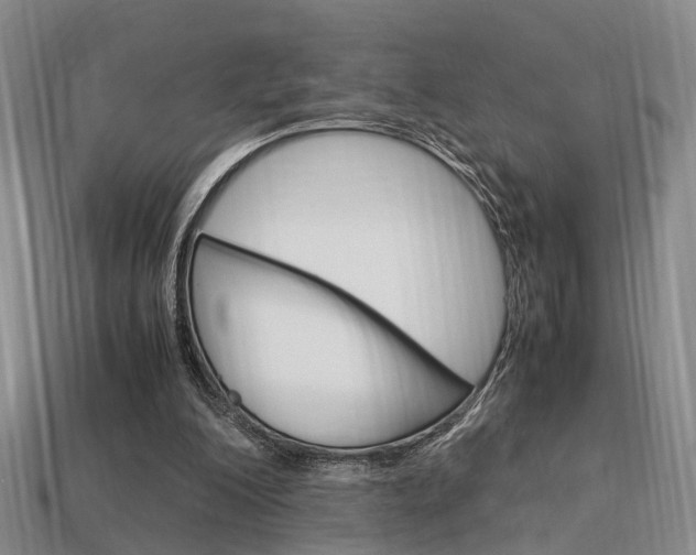 X0000114090200200910051217