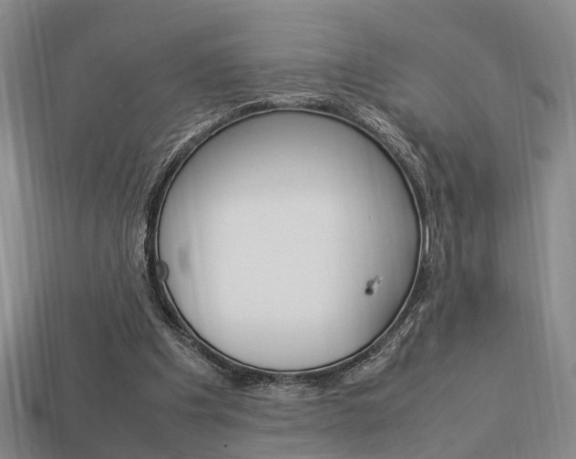 X0000114090201200910051217