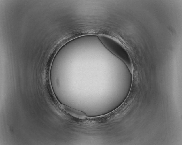 X0000114090203200910051217