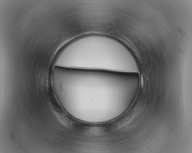 X0000114090204200910051217