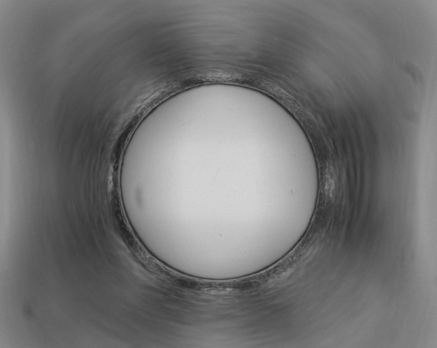 X0000114090206200910051217