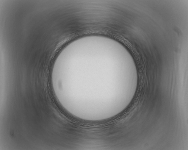 X0000114090207200910051217