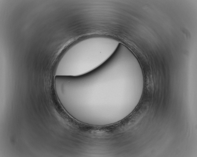 X0000114090208200910051217