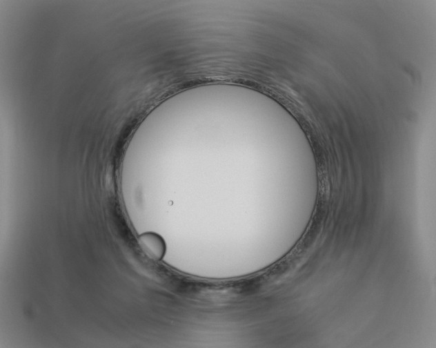 X0000114090213200910051217