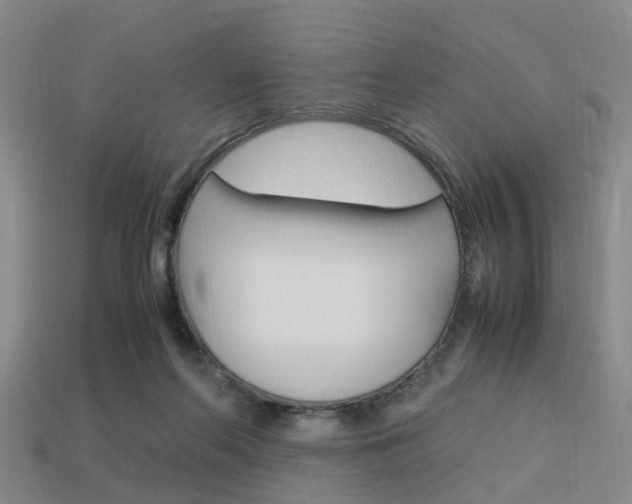 X0000114090214200910051217