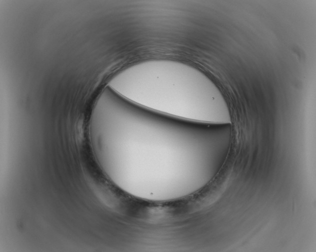 X0000114090216200910051217