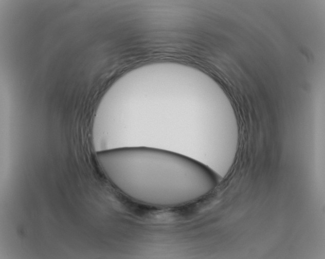 X0000114090219200910051217