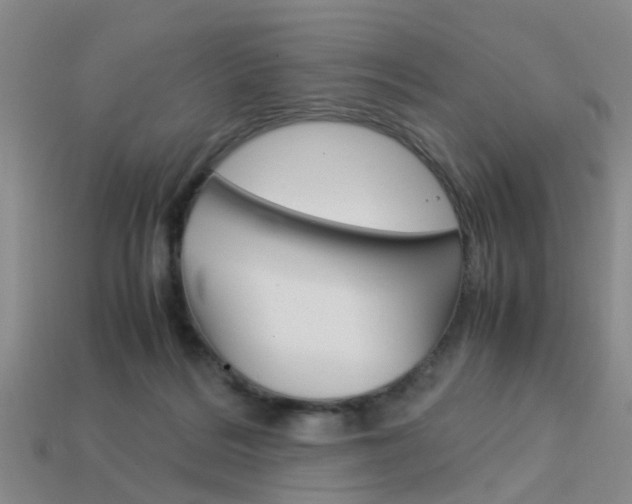 X0000114090220200910051217