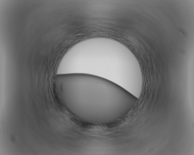X0000114090223200910051217