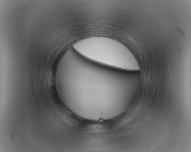 X0000114090224200910051217