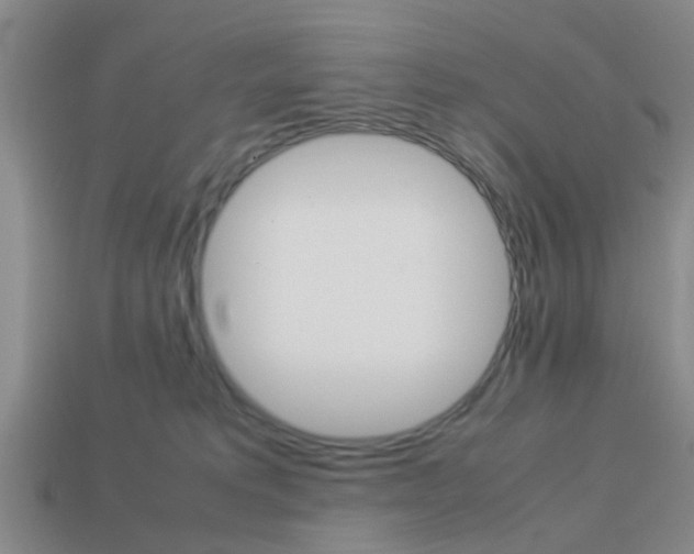 X0000114090229200910051216