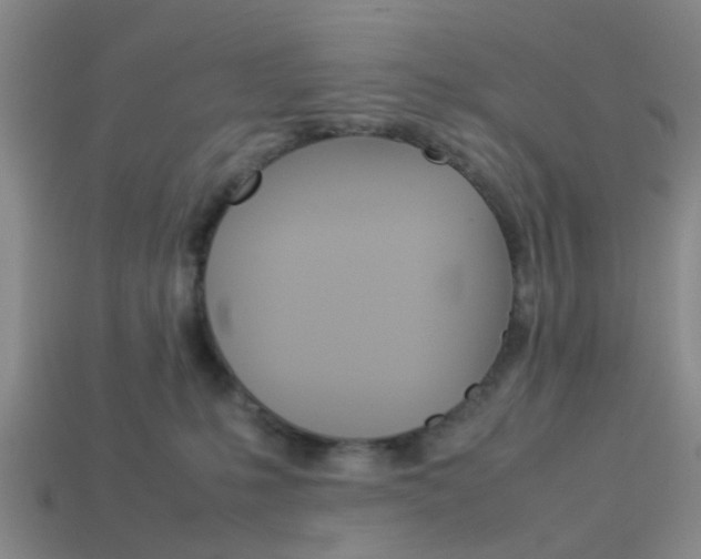 X0000114090231200910051216