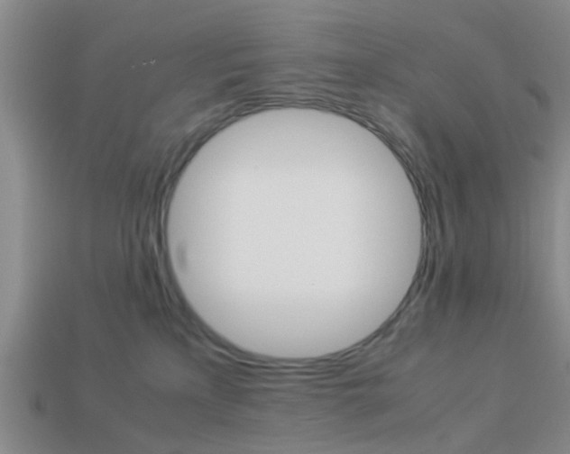 X0000114090233200910051216