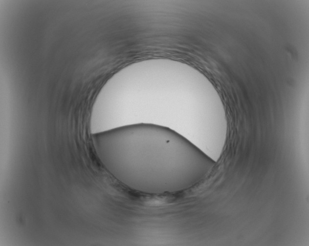 X0000114090235200910051216