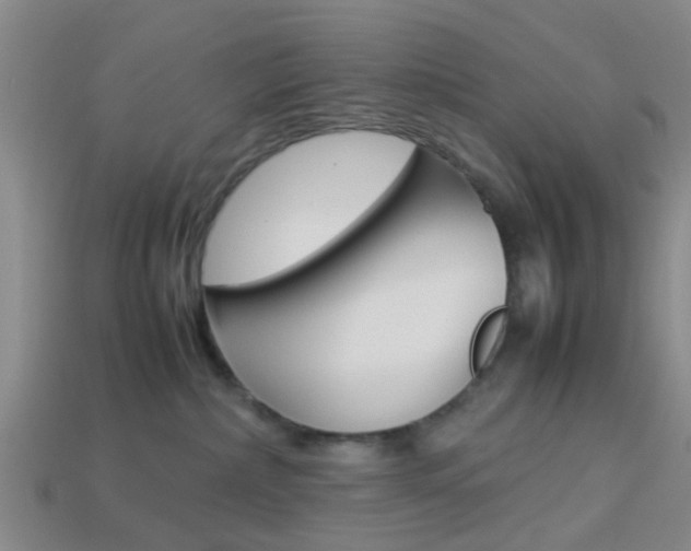 X0000114090236200910051216