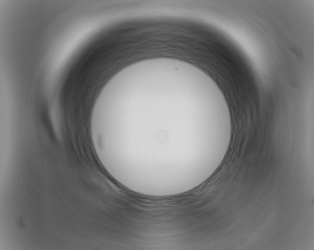 X0000114090239200910051216