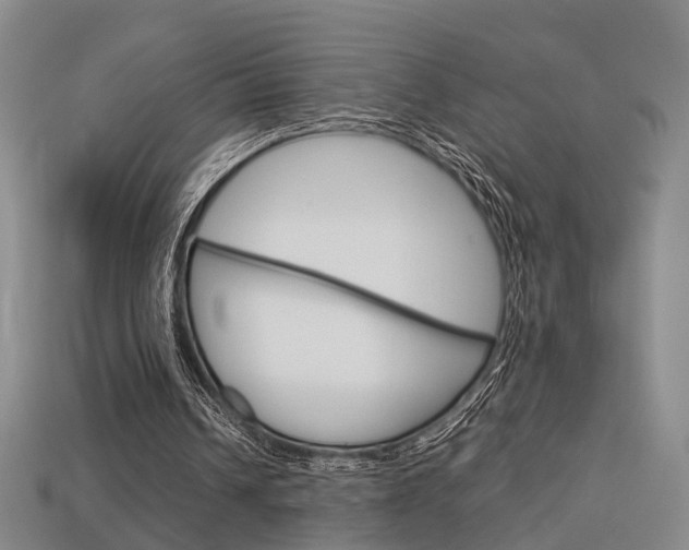 X0000114090242200910051216