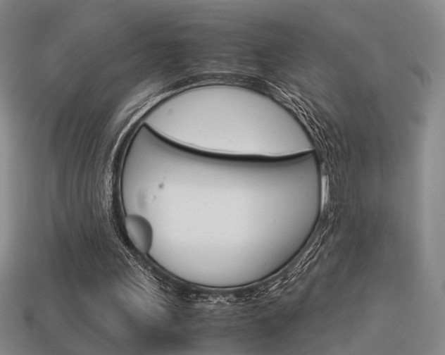 X0000114090243200910051216