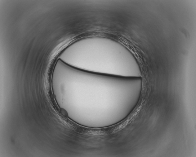 X0000114090245200910051216