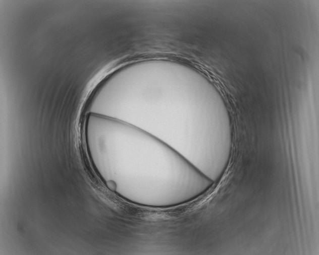 X0000114090246200910051216