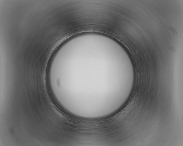 X0000114090252200910051216