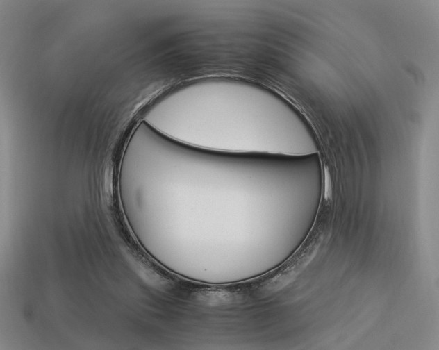 X0000114090253200910051216
