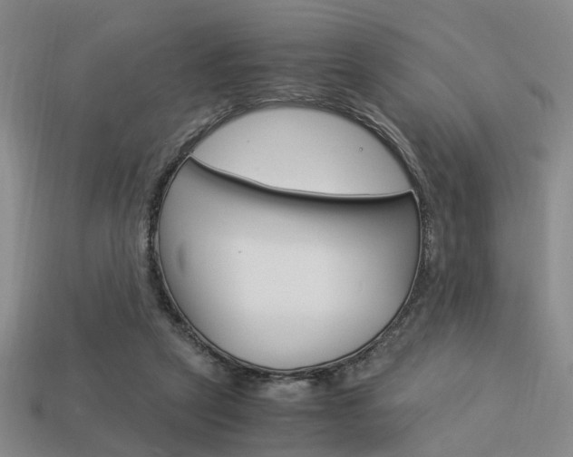 X0000114090257200910051216