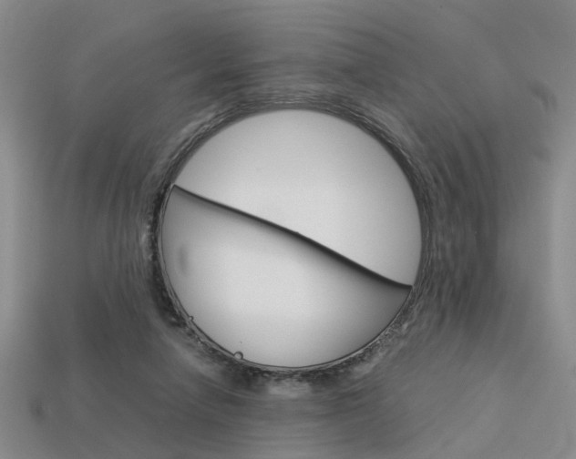X0000114090258200910051216