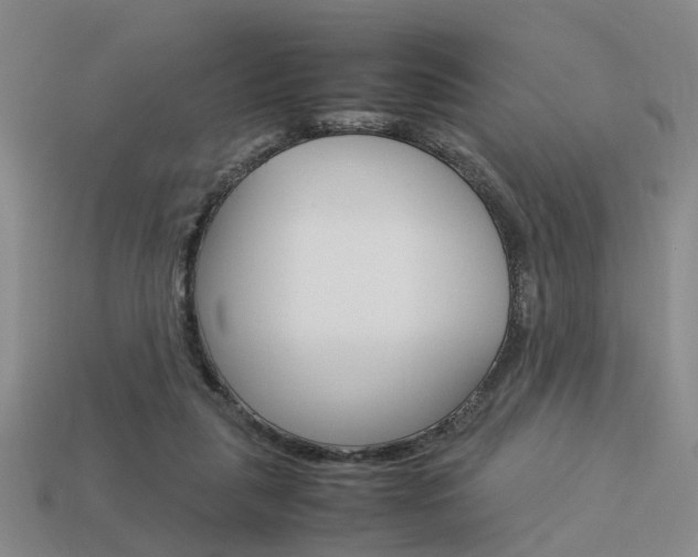 X0000114090259200910051216