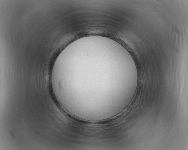 X0000114090261200910051216