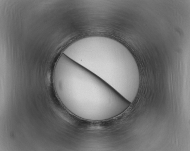 X0000114090262200910051216