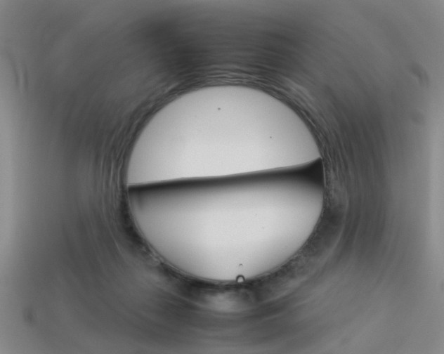X0000114090267200910051216