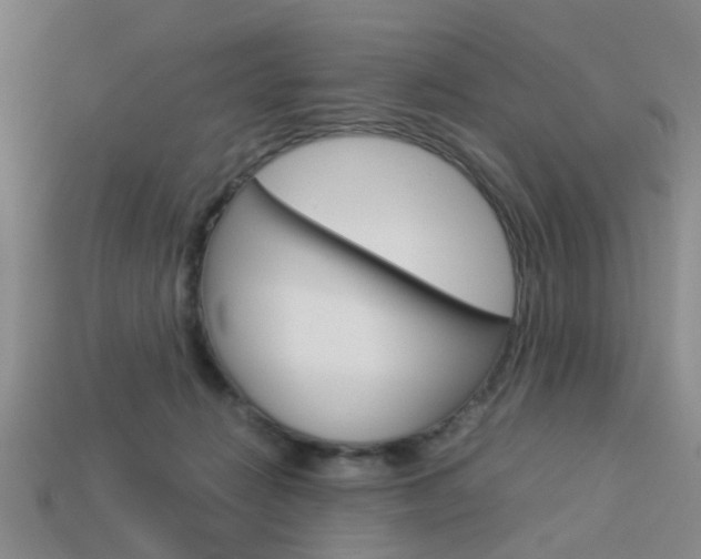 X0000114090270200910051216