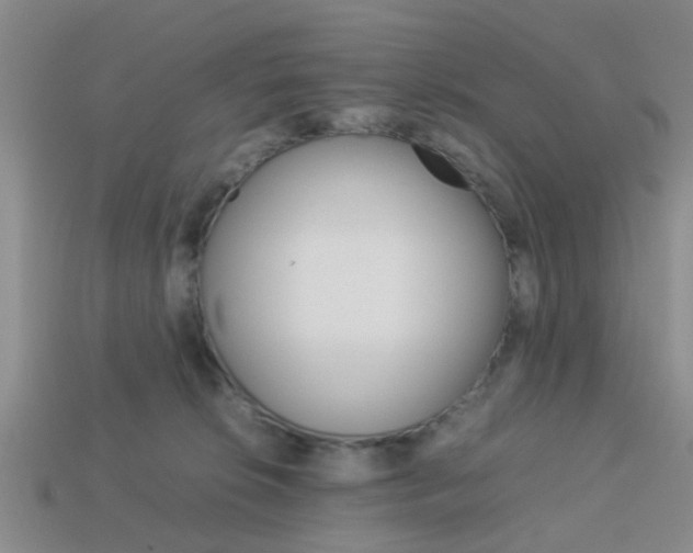 X0000114090276200910051216