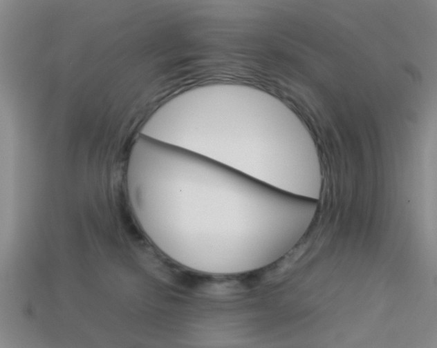 X0000114090278200910051216