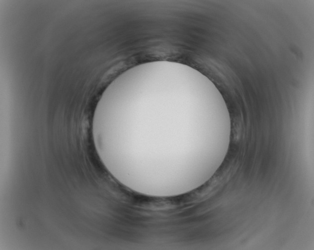 X0000114090279200910051216