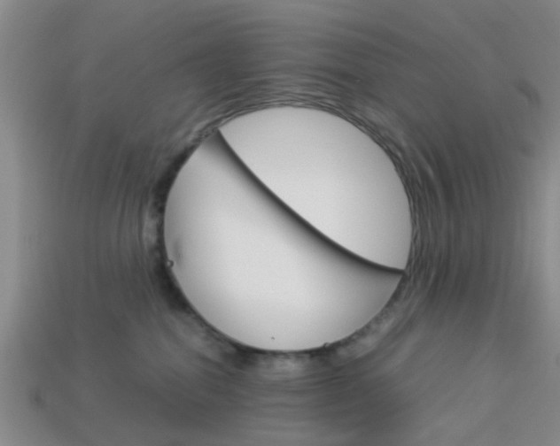 X0000114090282200910051216