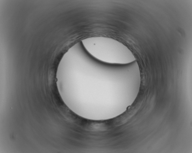 X0000114090283200910051216