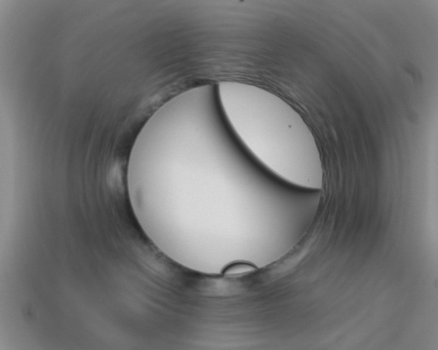 X0000114090286200910051216