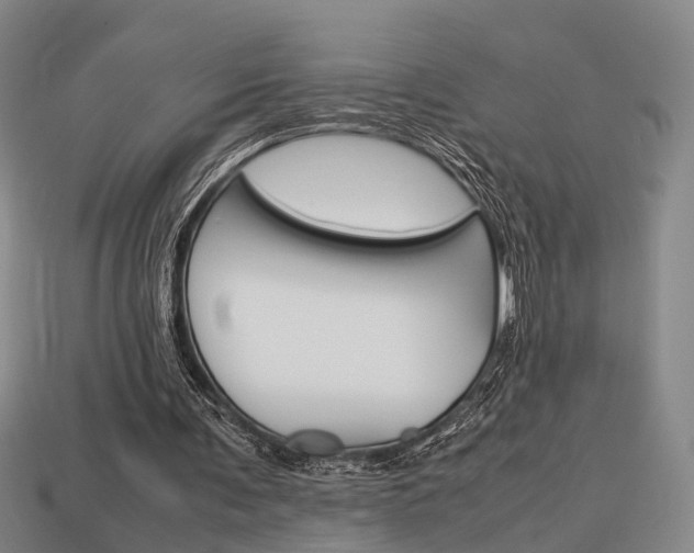 X0000114090291200910051216