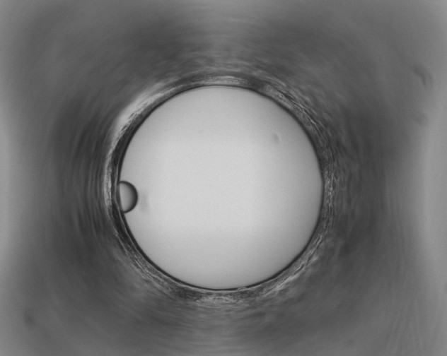 X0000114090294200910051216