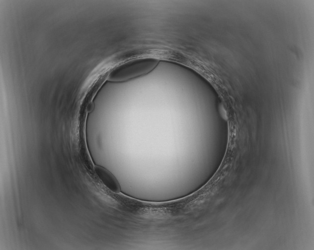 X0000114090296200910051216