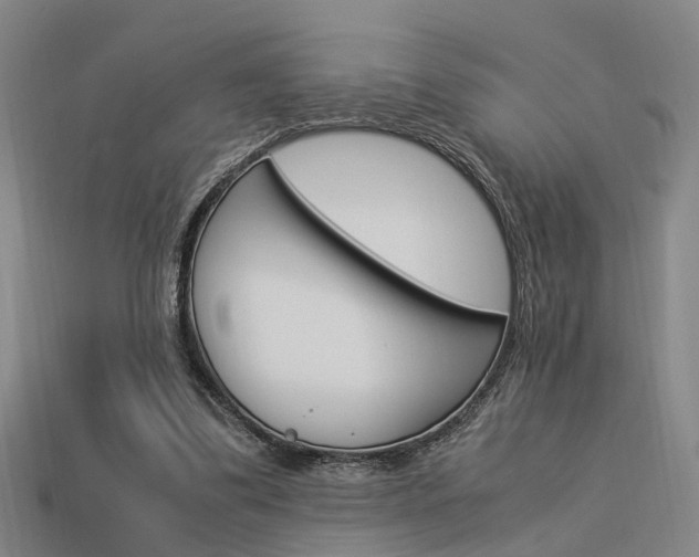 X0000114090299200910051216
