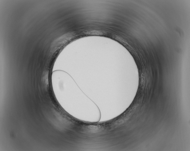 X0000114090302200910051216