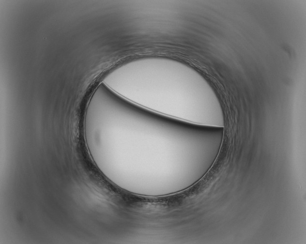 X0000114090303200910051216