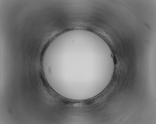 X0000114090306200910051216