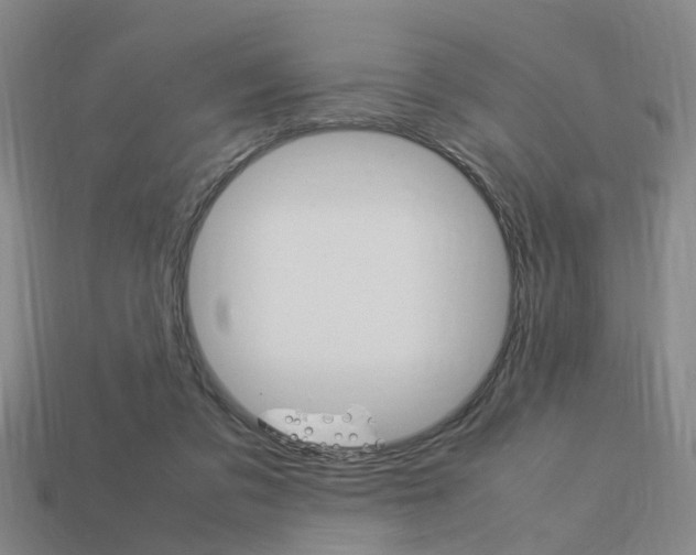X0000114090309200910051215