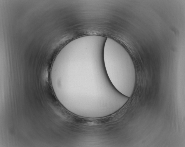 X0000114090310200910051215
